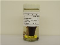 藏品(麻雀)的圖片